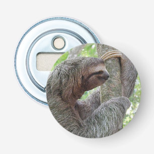 Cute Sloth Bottle Opener