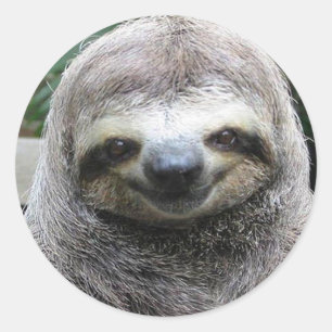 Cute Sloth Face Classic Round Sticker
