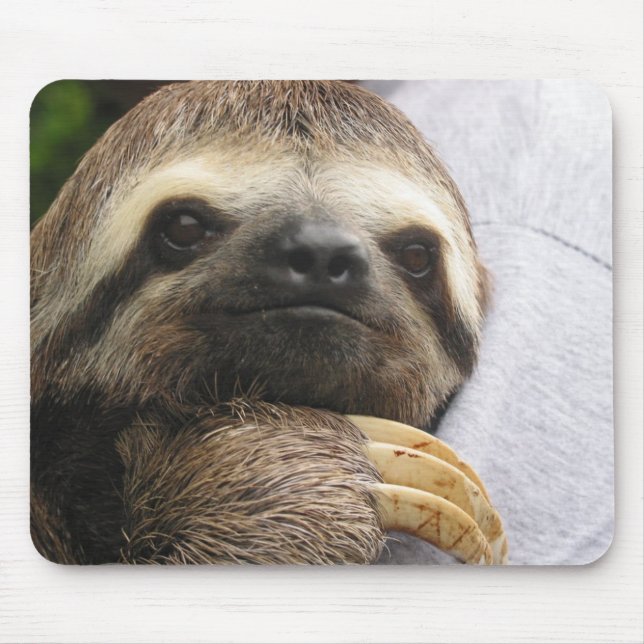 Cute Sloth Face Mouse Mat (Front)