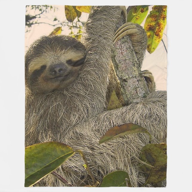 Cute Sloth Fleece Blanket (Front)