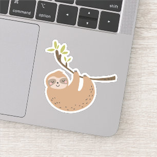 Cute Sloth In Tree