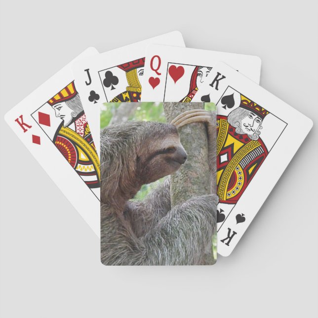 Cute Sloth Playing Cards (Back)