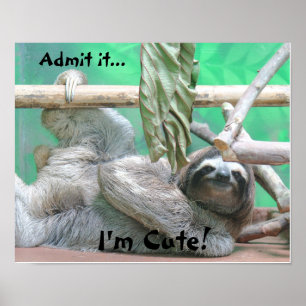 Cute Sloth! Poster