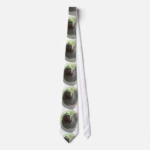 Cute Sloth Tie