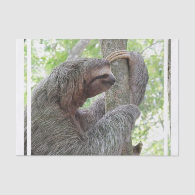 Cute Sloth Tissue Paper (Front)