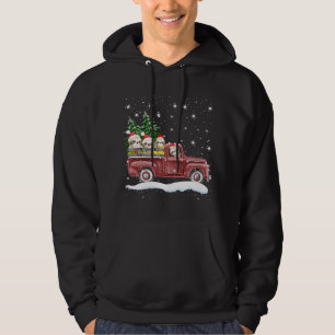 Cute Sloths With Red Truck Funny Christmas Gift Hoodie