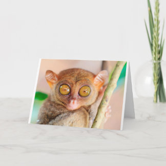 Cute Slow Loris Birthday Card