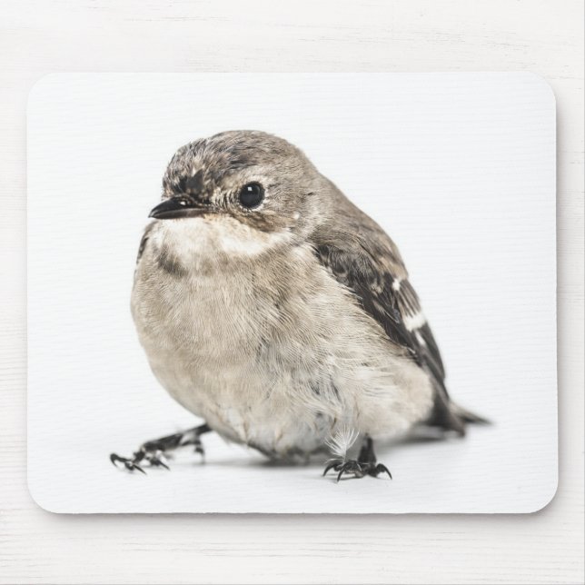 Cute Small Garden Bird Photo Mouse Mat (Front)