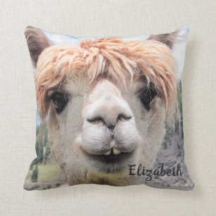 cute llama pillows