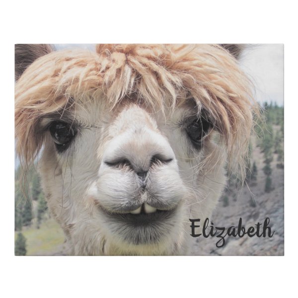 Alpaca Posters & Prints | Zazzle UK