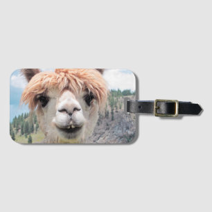 Cute Smiling Alpaca Photo Image Luggage Tag