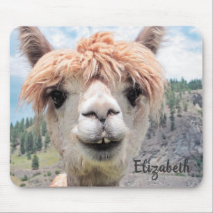 Cute Smiling Alpaca Photo Image Mouse Mat