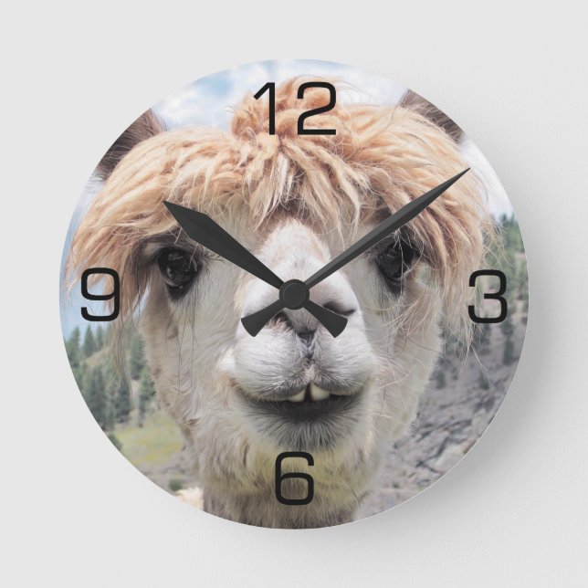 Cute Smiling Alpaca Photo Image Round Clock (Front)