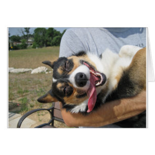 Cute Smiling Corgi Dog