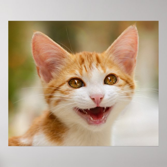 Cute Smiling Kitten Face Funny Cat Meow Photo Poster (Front)