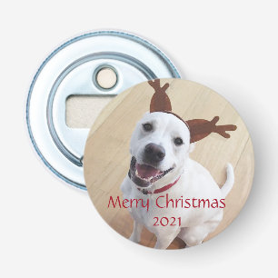 Cute Smiling White Reindeer Puppy Dog Christmas Bottle Opener