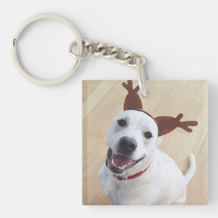 Cute Smiling White Reindeer Puppy Dog Christmas  Key Ring