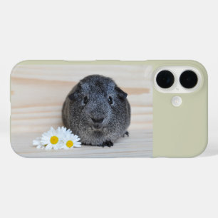 Cute Smooth, Silver Agouti Guinea Pig and Daisies iPhone 16 Case