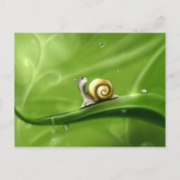 Cute Snail in the Rain