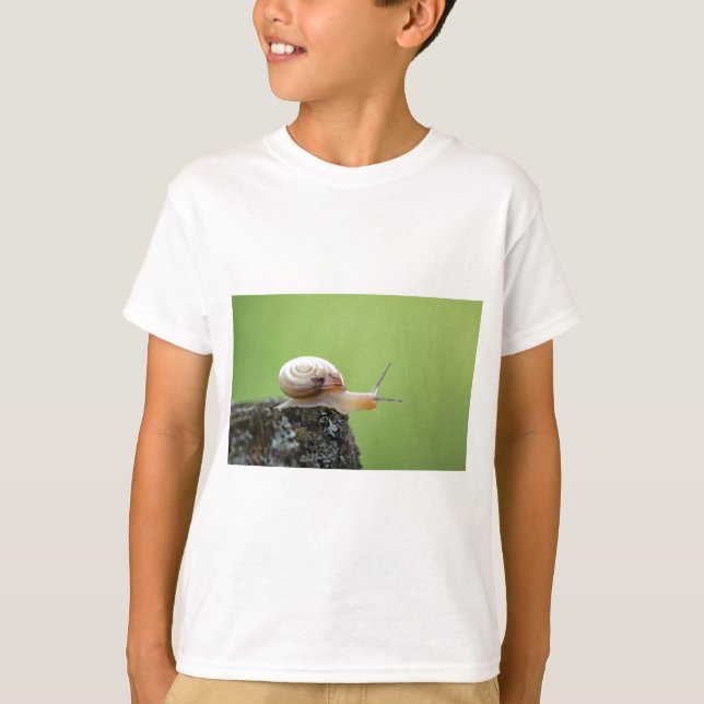 Cute Snail on Edge With Green Background T-Shirt (Front)