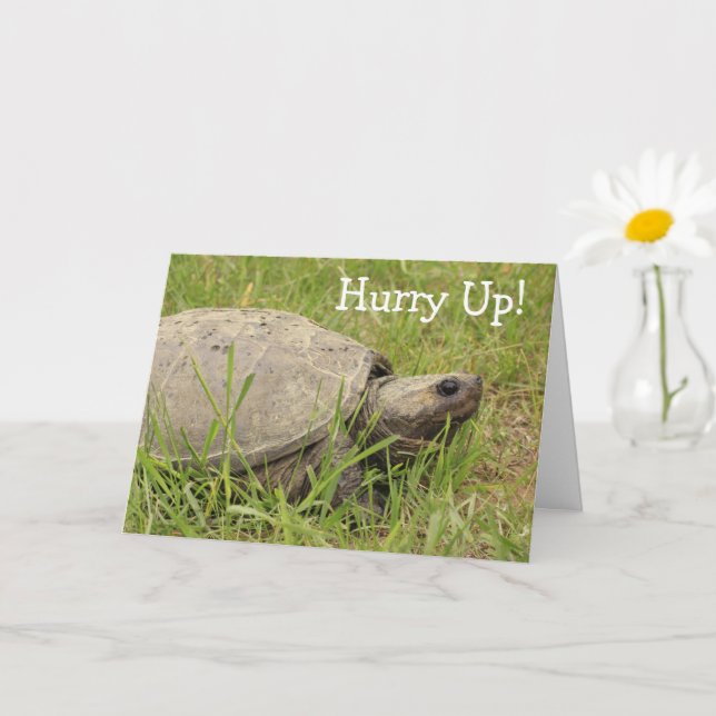 Cute Snapping Turtle Get Well Card (Small Plant)