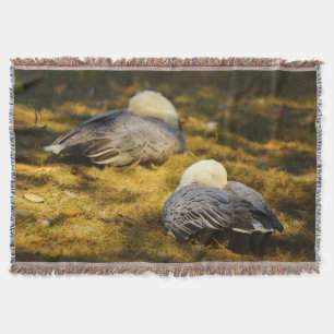 Cute Snow Geese Dreaming in the Summer Sun Throw Blanket