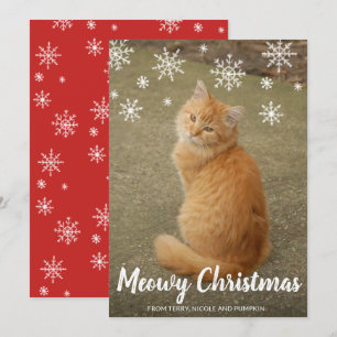 Cute Snowflakes Photo Cat Meowy Christmas Holiday Card