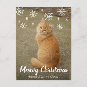 Cute Snowflakes Photo Cat Meowy Christmas Holiday Postcard