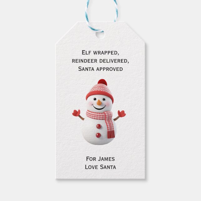 Cute Snowman  Gift Tags (Front)