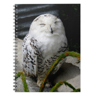 Cute Snowy Owl Notebook