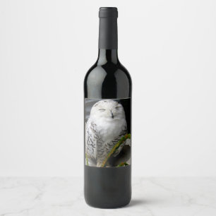 Cute Snowy Owl Wine Label