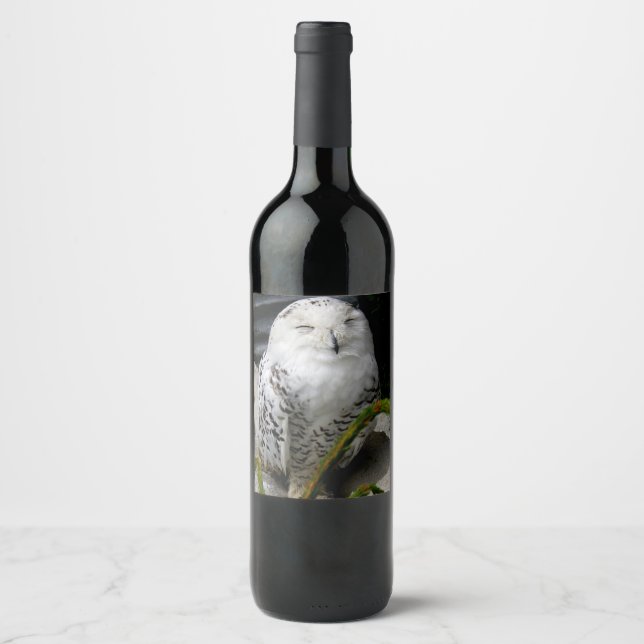 Cute Snowy Owl Wine Label (Front)