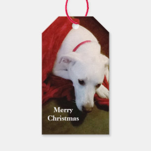 Cute Snowy White Puppy Dog Red and Green Christmas Gift Tags