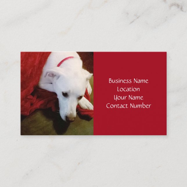 Cute Snowy White Puppy Dog Red Holiday Business Card (Front)