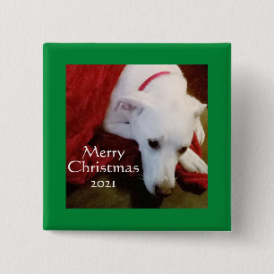Cute Snowy White Puppy Dog Square green Christmas  15 Cm Square Badge