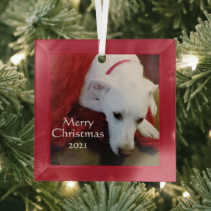 Cute Snowy White Puppy Dog Square Red Glass Tree Decoration