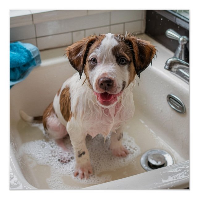 Cute Soapy Wet Puppy Bath Poster Wall Art (Front)