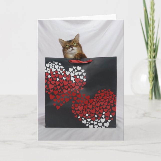 Cute Somali Cat in Bag Valentine's Day Card (Front)