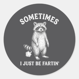Cute Sometimes I Farting Just Humor Raccoon Classic Round Sticker