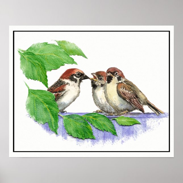 Cute Song Sparrow, Bird, Garden, Animal Nature Poster (Front)