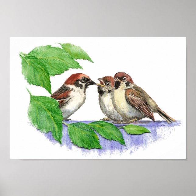Cute Song Sparrow, Bird, Garden, Animal Nature Poster (Front)