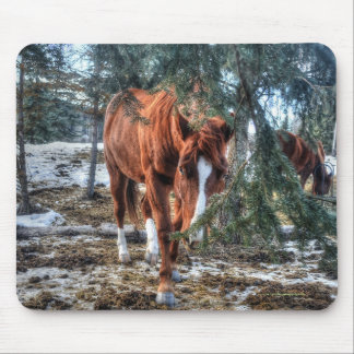 Cute Sorrel Mare and Branches Horse-lover Gift Mouse Mat
