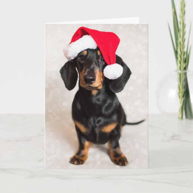 Cute Sparkle Dachshund Puppy wearing Christmas Hat Holiday Card (Front)