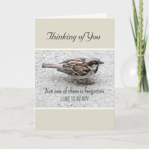 Cute Sparrow Bird Photo Bible Verse Simple Tan Card