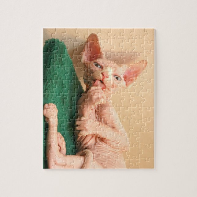 Cute sphinx jigsaw puzzle (Vertical)