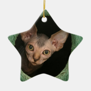 Cute sphynx kitten ceramic tree decoration