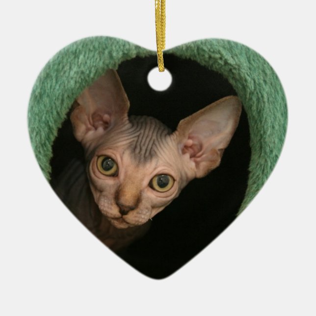 Cute sphynx kitten ceramic tree decoration (Front)