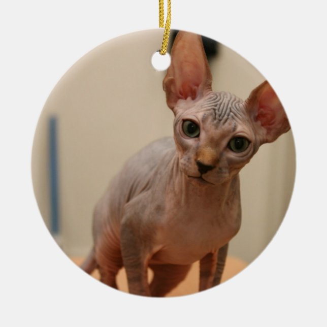 Cute sphynx kitten "I'm furless, are you?" Ceramic Tree Decoration (Front)