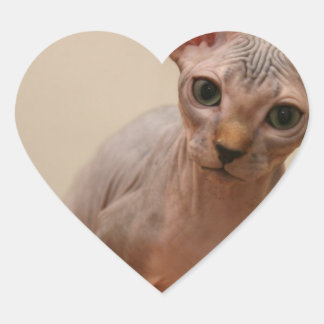 Cute sphynx kitten "I'm furless, are you?" Heart Sticker