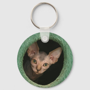 Cute sphynx kitten key ring